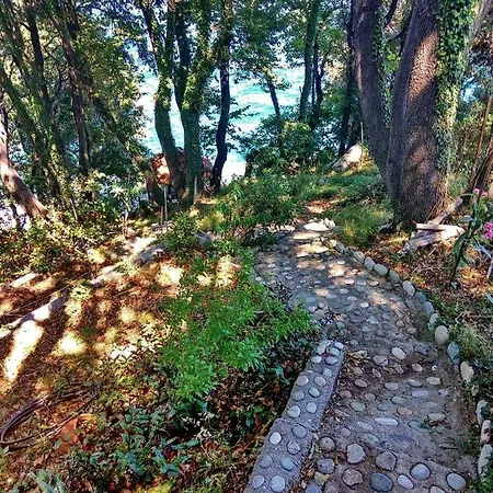 Elitsa 2 Pelion Villa Pouríon