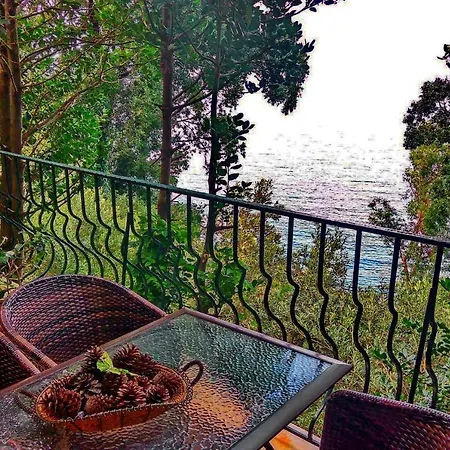 Elitsa 2 Pelion Villa *