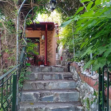 Elitsa 2 Pelion Villa Pouríon