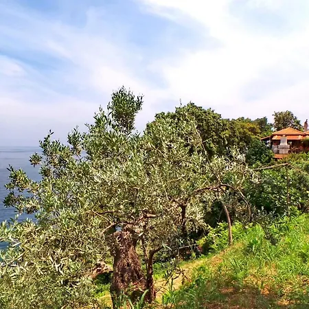 Elitsa 2 Pelion * Pouríon