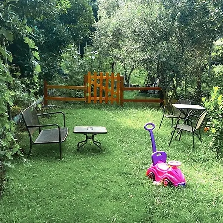 Elitsa 2 Pelion