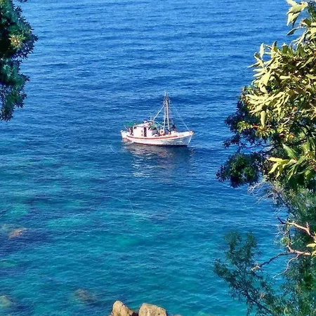 Elitsa 2 Pelion * Pouríon