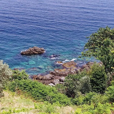 Elitsa 2 Pelion Villa