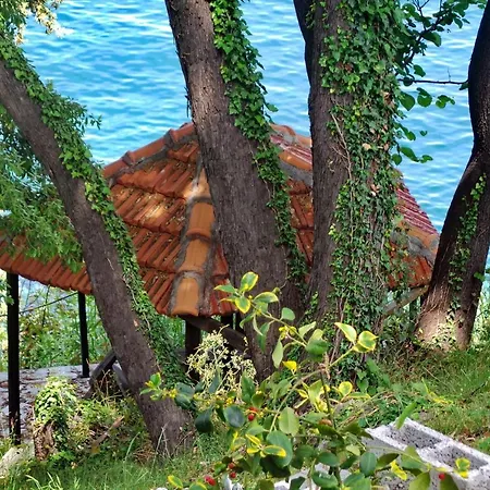 Villa Elitsa 2 Pelion