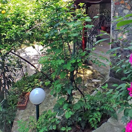 Villa Elitsa 2 Pelion Pouríon